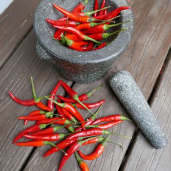 Fresh Red Chillies