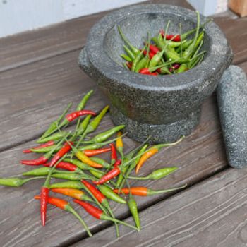 Mixed Chillies