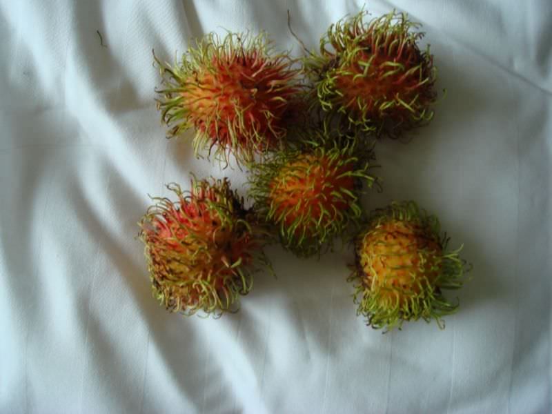 Savory Stuffed Rambutans