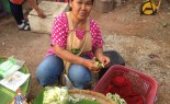 Market Vendor Prepares Sesbania Flower
