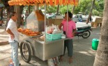 Barbecue Chicken Vendor At Seaside Resort - Bang Saen