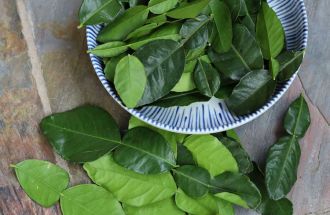 Fresh Kaffir Lime Leaves