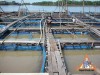 thai-fish-farm-04.jpg